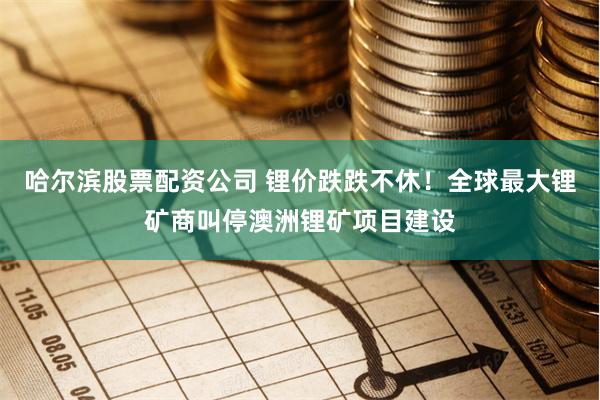 哈尔滨股票配资公司 锂价跌跌不休！全球最大锂矿商叫停澳洲锂矿项目建设