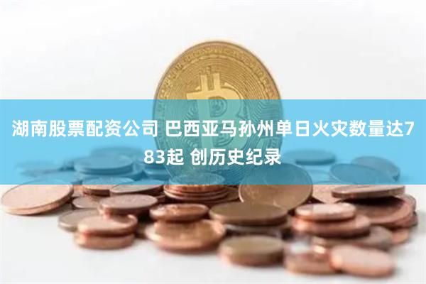 湖南股票配资公司 巴西亚马孙州单日火灾数量达783起 创历史纪录