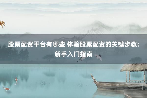 股票配资平台有哪些 体验股票配资的关键步骤：新手入门指南