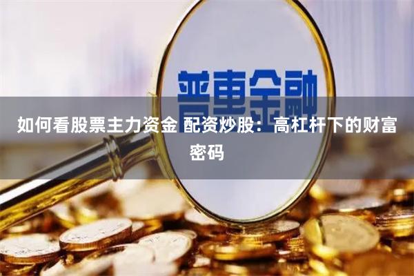 如何看股票主力资金 配资炒股：高杠杆下的财富密码