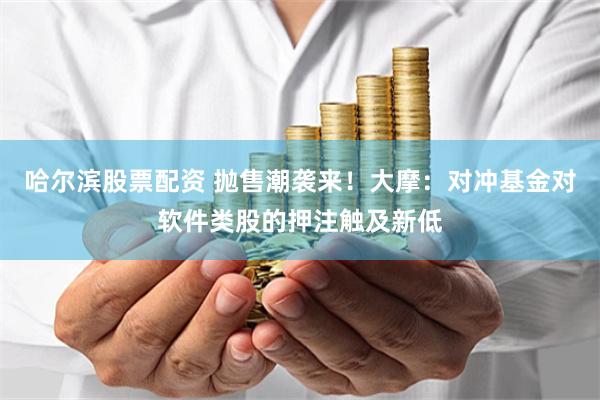 哈尔滨股票配资 抛售潮袭来！大摩：对冲基金对软件类股的押注触及新低