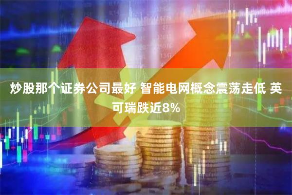 炒股那个证券公司最好 智能电网概念震荡走低 英可瑞跌近8%